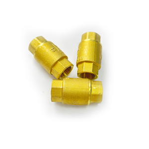 DN Series Brass Spring NPT1/2 Thread One Way Check Valve for Water Piping