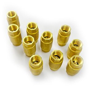 NPT1 Inch Brass One-way Valves with NPT Thread Long Head Pneumatic Silencer for Agriculture