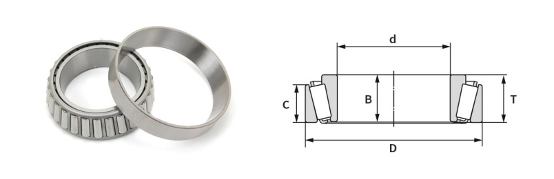 tapered bearing (21)