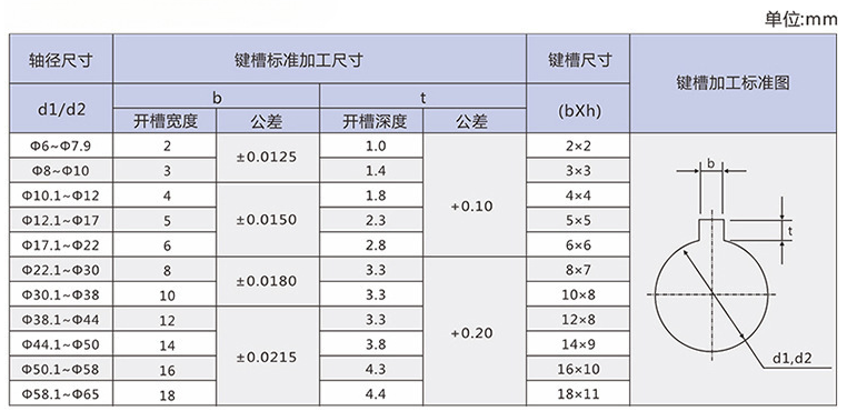 bellows coupling (11)
