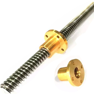 Custom Stainless Steel Acme Lead Screw with Flange Brass Nut